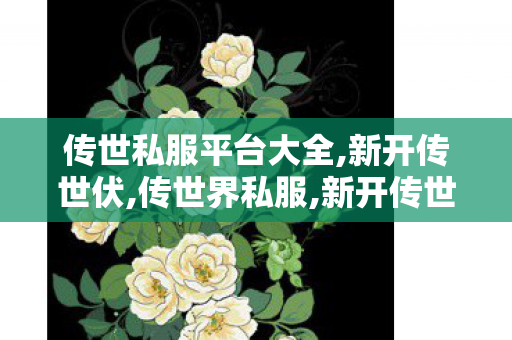 传世私服平台大全,新开传世伏,传世界私服,新开传世伏