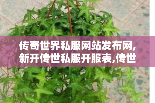 传奇世界私服网站发布网,新开传世私服开服表,传世变态私服,新开传世私服开服表