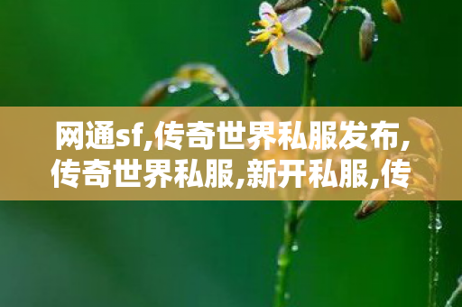 网通sf,传奇世界私服发布,传奇世界私服,新开私服,传奇世界私服发布