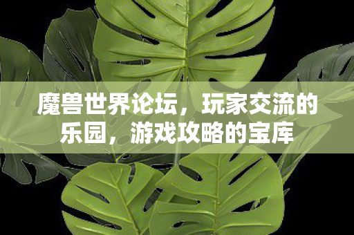 魔兽世界论坛，玩家交流的乐园，游戏攻略的宝库