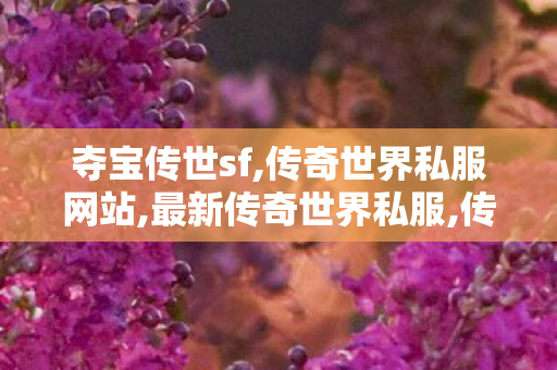 夺宝传世sf,传奇世界私服网站,最新传奇世界私服,传奇世界私服网站