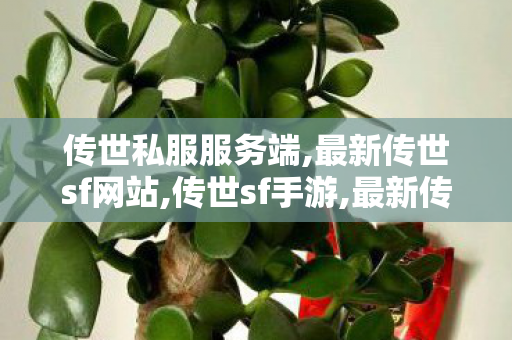 传世私服服务端,最新传世sf网站,传世sf手游,最新传世sf网站