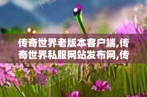 传奇世界老版本客户端,传奇世界私服网站发布网,传奇世界私服,传世sf网站,传奇世界私服网站发布网