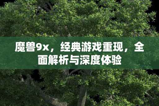 魔兽9x，经典游戏重现，全面解析与深度体验