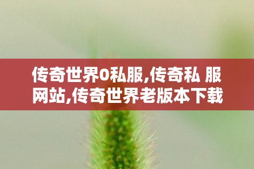 传奇世界0私服,传奇私 服网站,传奇世界老版本下载,传奇私 服网站