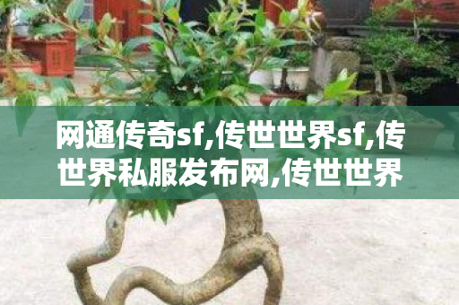 网通传奇sf,传世世界sf,传世界私服发布网,传世世界sf