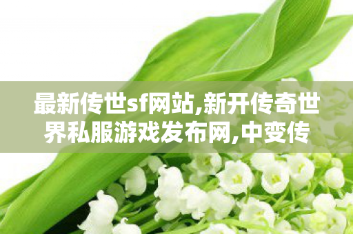 最新传世sf网站,新开传奇世界私服游戏发布网,中变传世私发服网,新开传奇世界私服游戏发布网