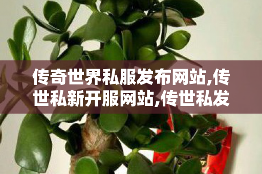 传奇世界私服发布网站,传世私新开服网站,传世私发服网sf,传世私新开服网站