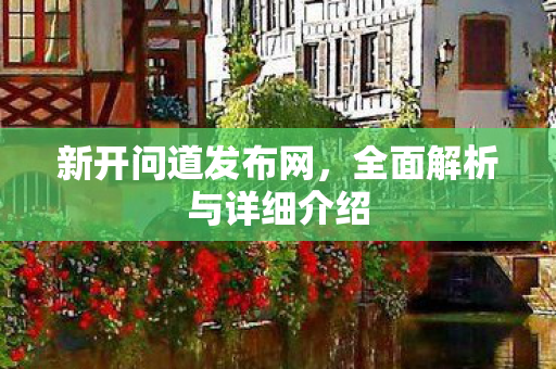 新开问道发布网，全面解析与详细介绍