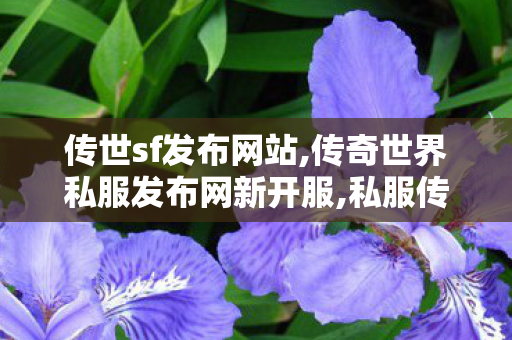 传世sf发布网站,传奇世界私服发布网新开服,私服传奇世界,传奇世界私服发布网新开服