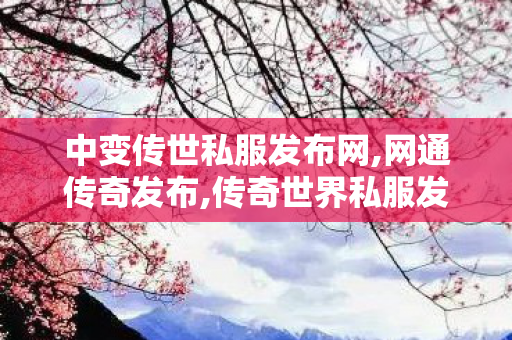 中变传世私服发布网,网通传奇发布,传奇世界私服发布站,网通传奇发布