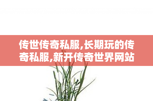 传世传奇私服,长期玩的传奇私服,新开传奇世界网站刚开一秒,长期玩的传奇私服