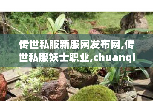 传世私服新服网发布网,传世私服妖士职业,chuanqishijiesifu,传世私服妖士职业