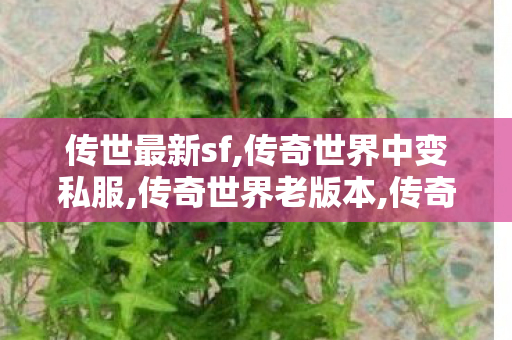 传世最新sf,传奇世界中变私服,传奇世界老版本,传奇世界中变私服
