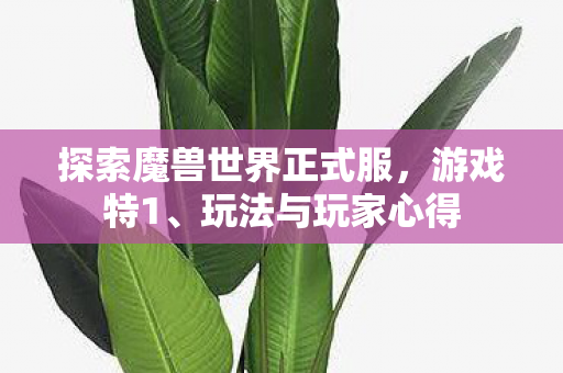 探索魔兽世界正式服，游戏特1、玩法与玩家心得
