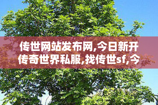 传世网站发布网,今日新开传奇世界私服,找传世sf,今日新开传奇世界私服