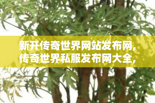 新开传奇世界网站发布网,传奇世界私服发布网大全,传奇世界中变,传奇世界私服发布网大全