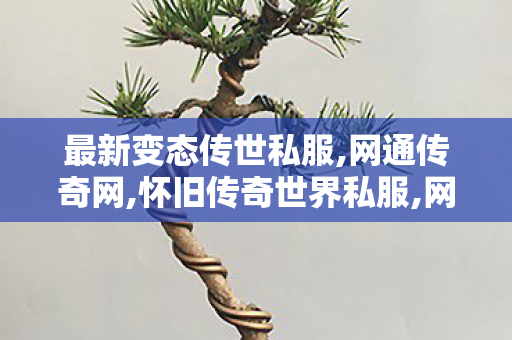 最新变态传世私服,网通传奇网,怀旧传奇世界私服,网通传奇网