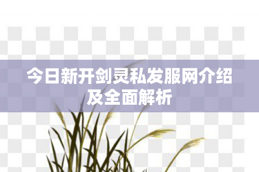 今日新开剑灵私发服网介绍及全面解析