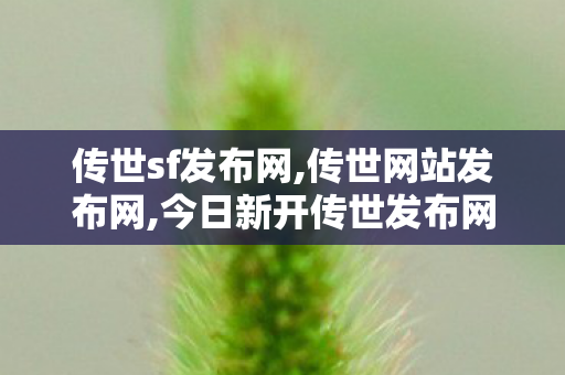 传世sf发布网,传世网站发布网,今日新开传世发布网,传世网站发布网