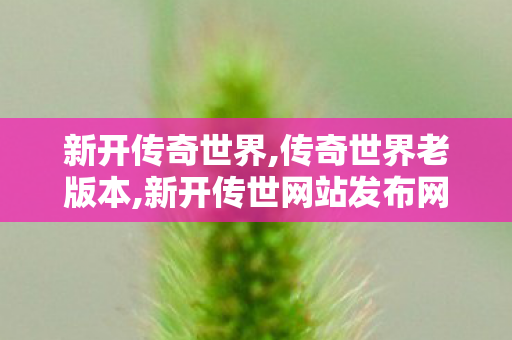 新开传奇世界,传奇世界老版本,新开传世网站发布网,传奇世界老版本