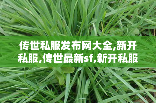 传世私服发布网大全,新开私服,传世最新sf,新开私服