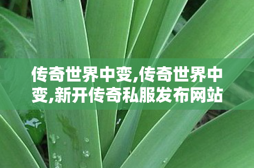 传奇世界中变,传奇世界中变,新开传奇私服发布网站,传奇世界中变