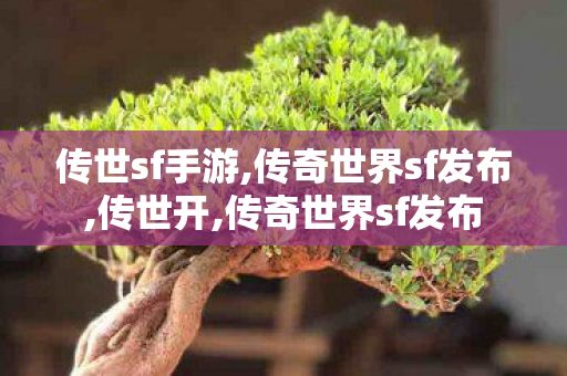 传世sf手游,传奇世界sf发布,传世开,传奇世界sf发布