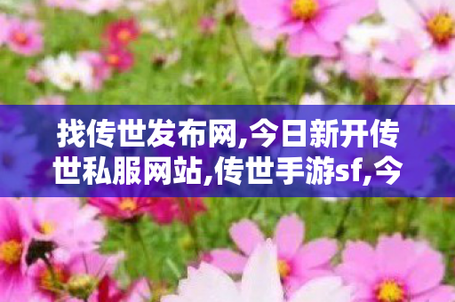 找传世发布网,今日新开传世私服网站,传世手游sf,今日新开传世私服网站