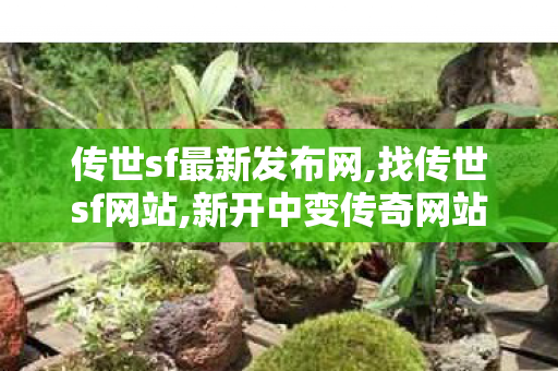 传世sf最新发布网,找传世sf网站,新开中变传奇网站发布网,找传世sf网站