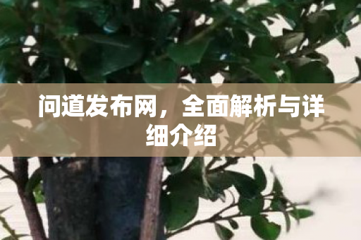 问道发布网，全面解析与详细介绍