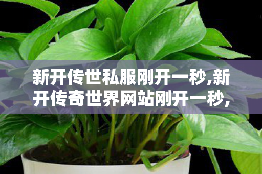 新开传世私服刚开一秒,新开传奇世界网站刚开一秒,找传奇世界私服首区,新开传奇世界网站刚开一秒