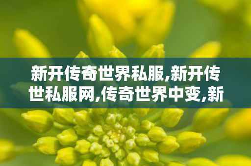 新开传奇世界私服,新开传世私服网,传奇世界中变,新开传世私服网