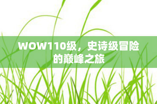 WOW110级，史诗级冒险的巅峰之旅