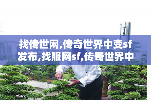 找传世网,传奇世界中变sf发布,找服网sf,传奇世界中变sf发布