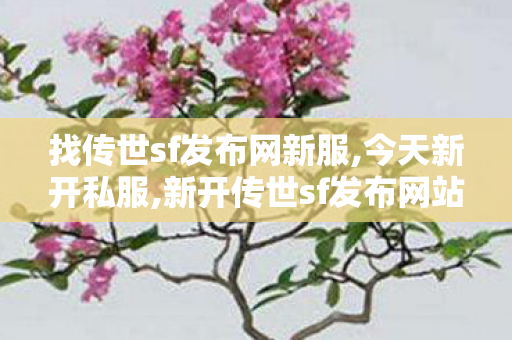 找传世sf发布网新服,今天新开私服,新开传世sf发布网站,今天新开私服