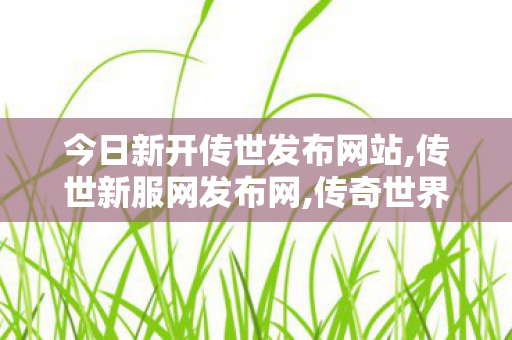 今日新开传世发布网站,传世新服网发布网,传奇世界私服,传世私服,传世新服网发布网