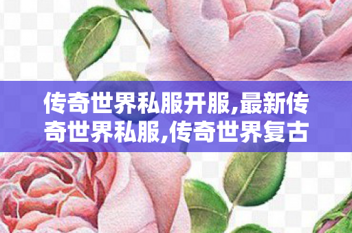 传奇世界私服开服,最新传奇世界私服,传奇世界复古无元神,最新传奇世界私服