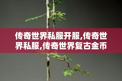 传奇世界私服开服,传奇世界私服,传奇世界复古金币版,传奇世界私服