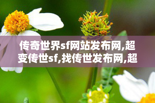 传奇世界sf网站发布网,超变传世sf,找传世发布网,超变传世sf