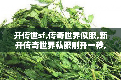 开传世sf,传奇世界似服,新开传奇世界私服刚开一秒,传奇世界似服