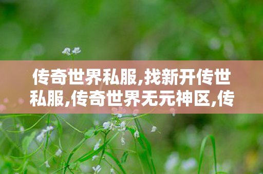 传奇世界私服,找新开传世私服,传奇世界无元神区,传世私服发布网大全,传奇世界无元神区