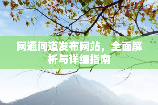 网通问道发布网站，全面解析与详细指南