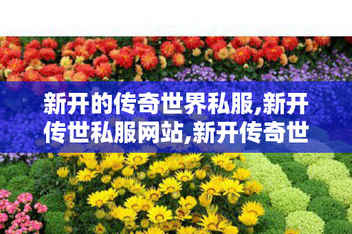 新开的传奇世界私服,新开传世私服网站,新开传奇世界,新开传世私服网站