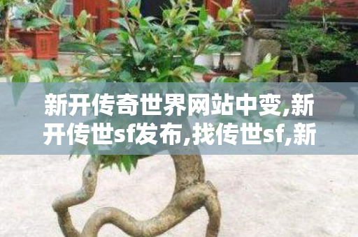 新开传奇世界网站中变,新开传世sf发布,找传世sf,新开传世sf发布