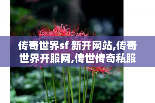传奇世界sf 新开网站,传奇世界开服网,传世传奇私服,传奇世界开服网