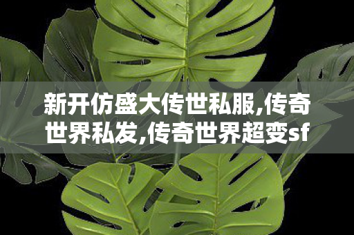 新开仿盛大传世私服,传奇世界私发,传奇世界超变sf,传奇世界私发