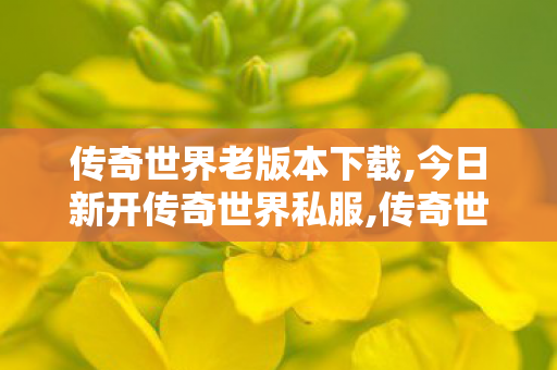 传奇世界老版本下载,今日新开传奇世界私服,传奇世界私服发布网,今日新开传奇世界私服