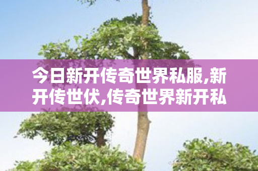今日新开传奇世界私服,新开传世伏,传奇世界新开私服,新开传世伏