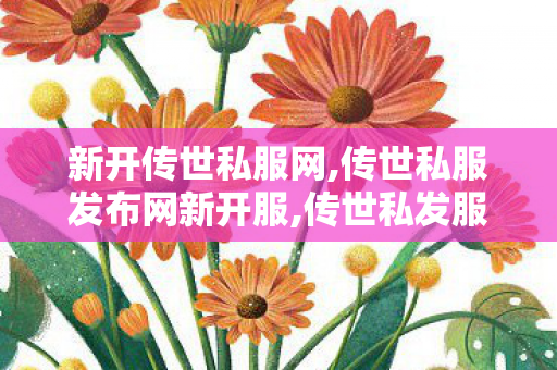 新开传世私服网,传世私服发布网新开服,传世私发服网sf,传世私服发布网新开服